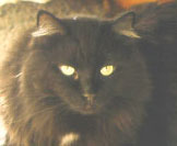 neroon at 2 years